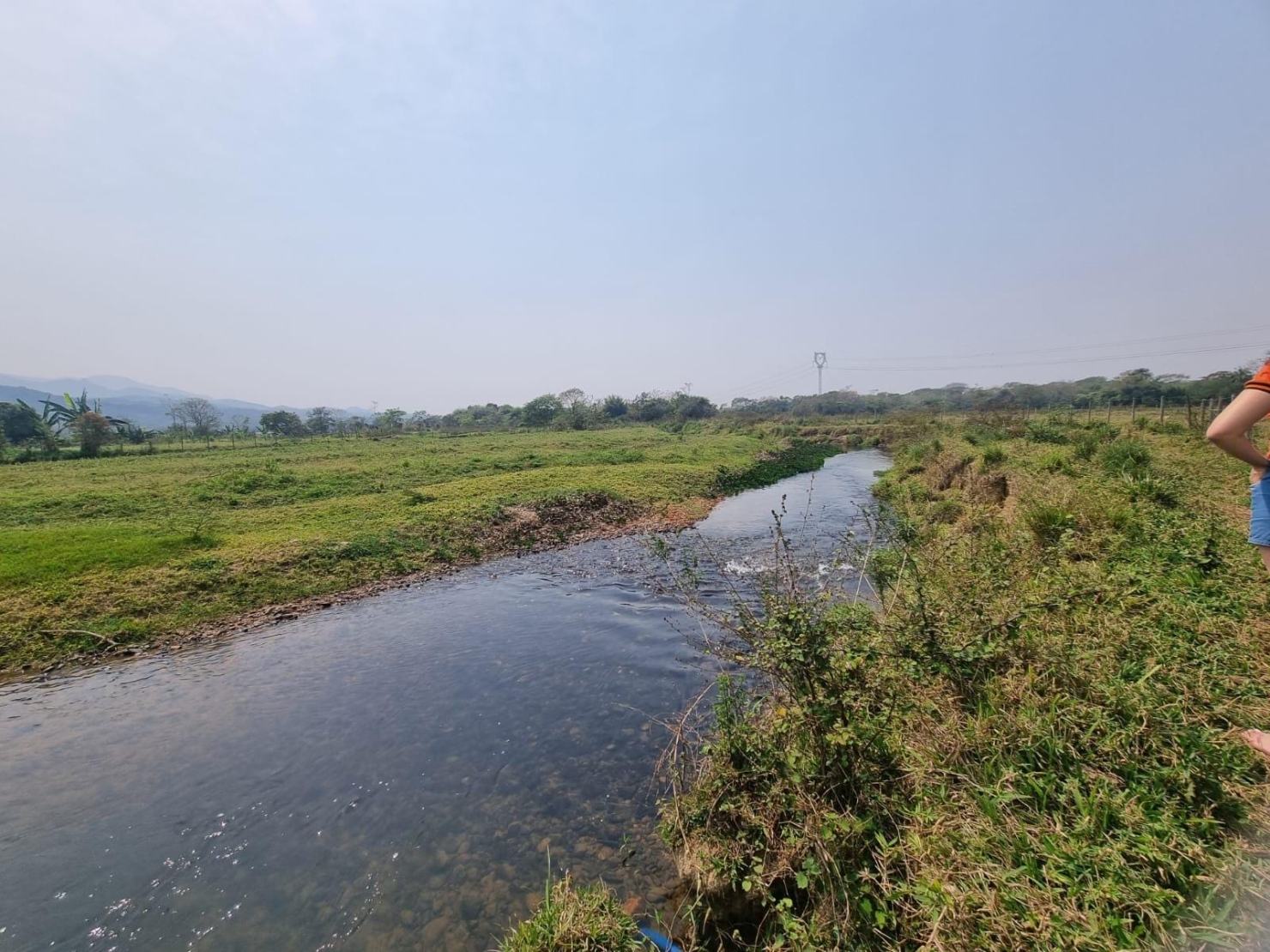 Terreno à venda, 10000m² - Foto 2