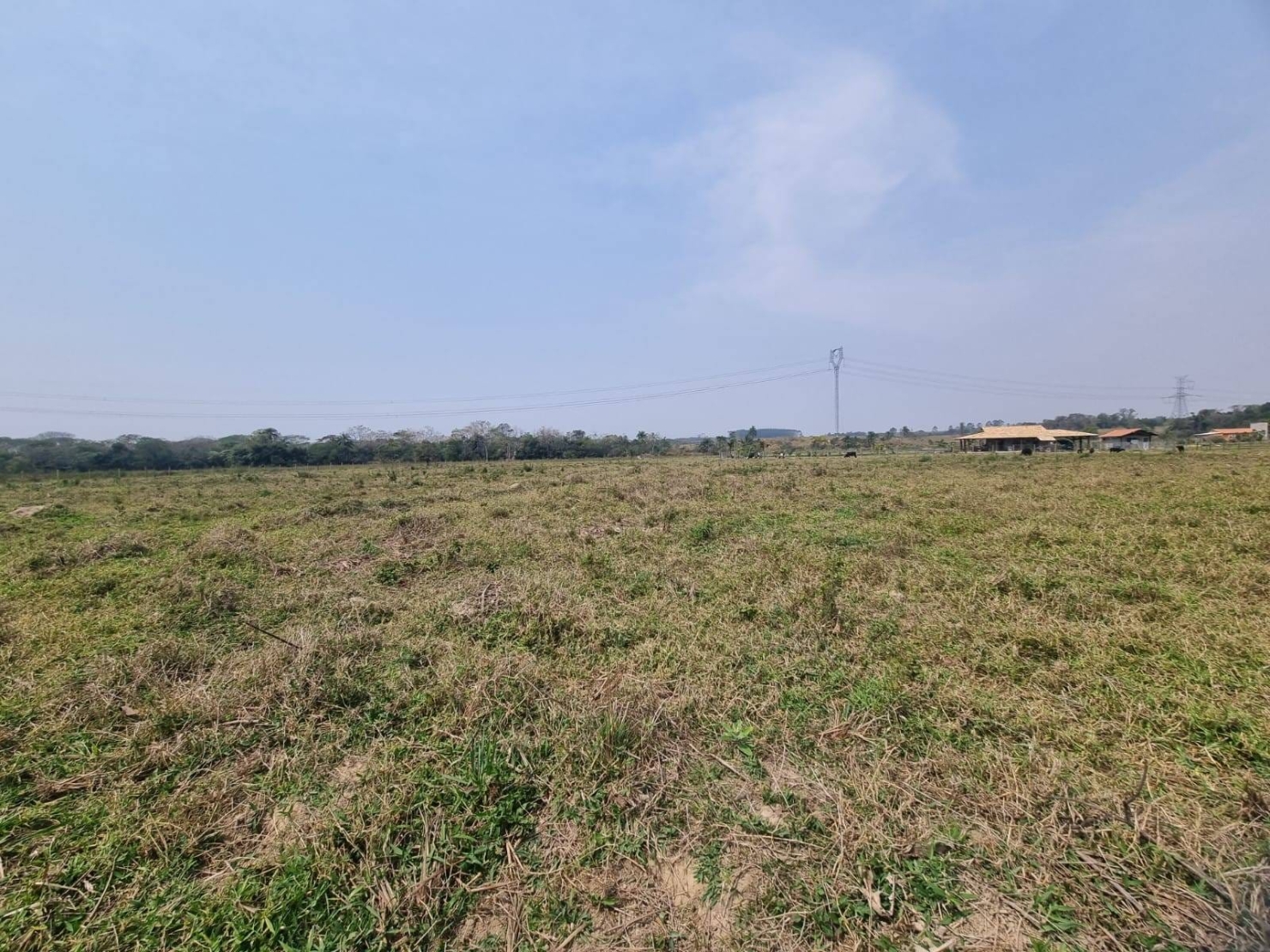 Terreno à venda, 10000m² - Foto 4