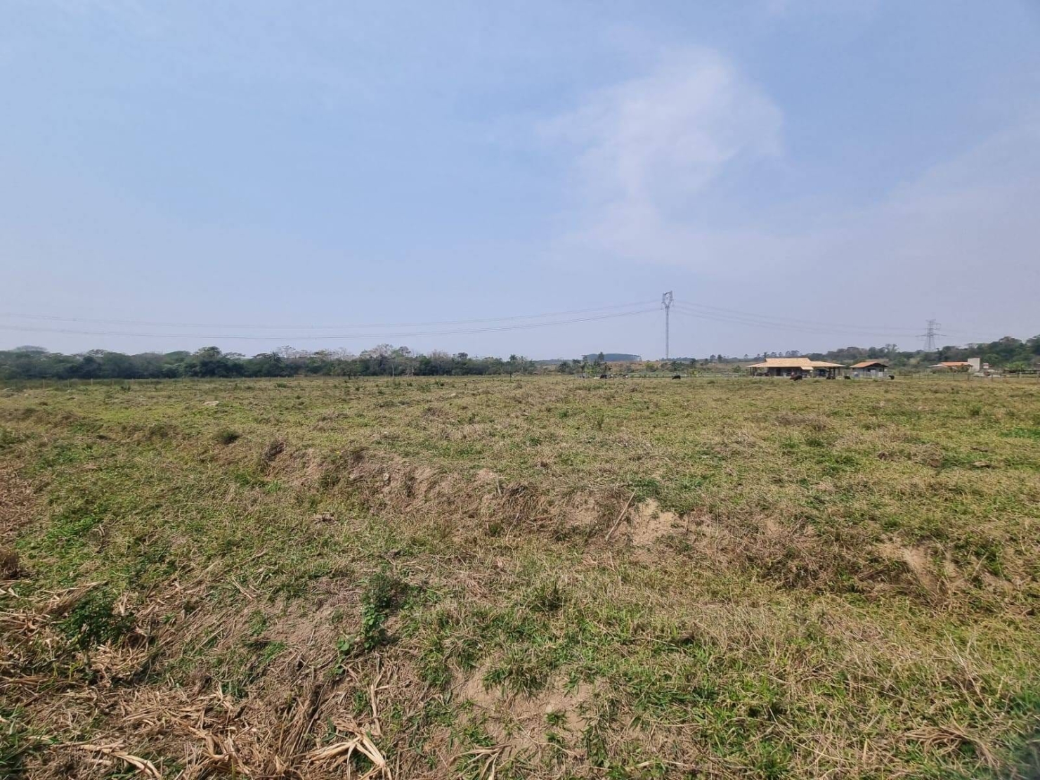 Terreno à venda, 10000m² - Foto 5