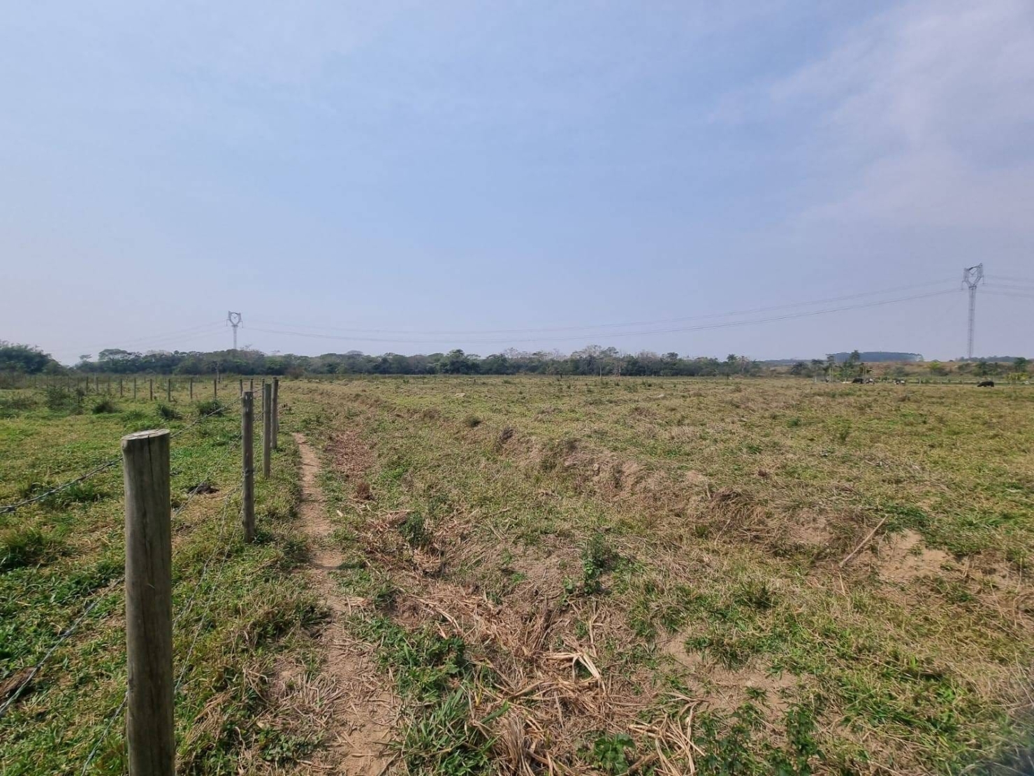 Terreno à venda, 10000m² - Foto 6
