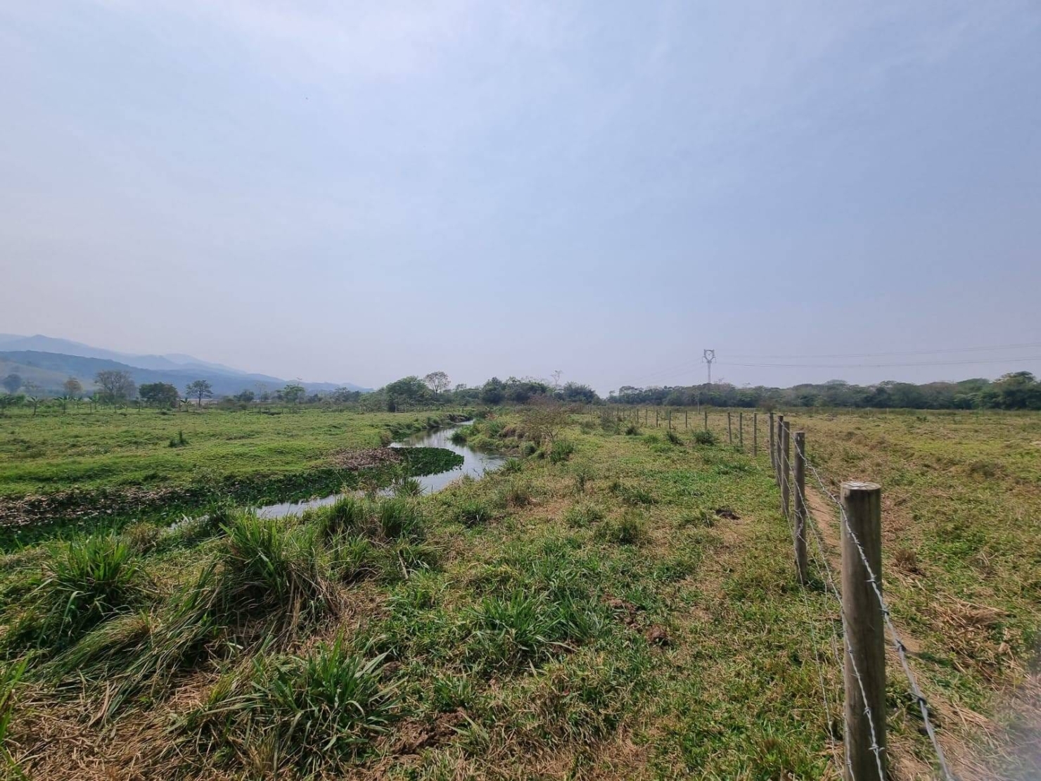 Terreno à venda, 10000m² - Foto 7