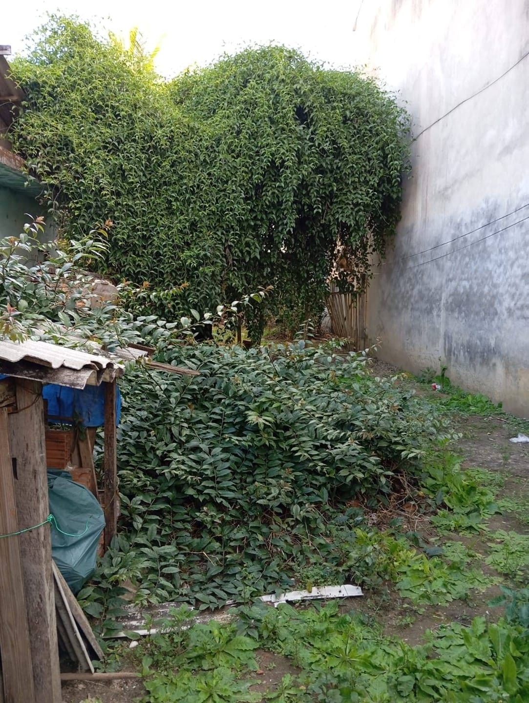 Terreno à venda, 150m² - Foto 1