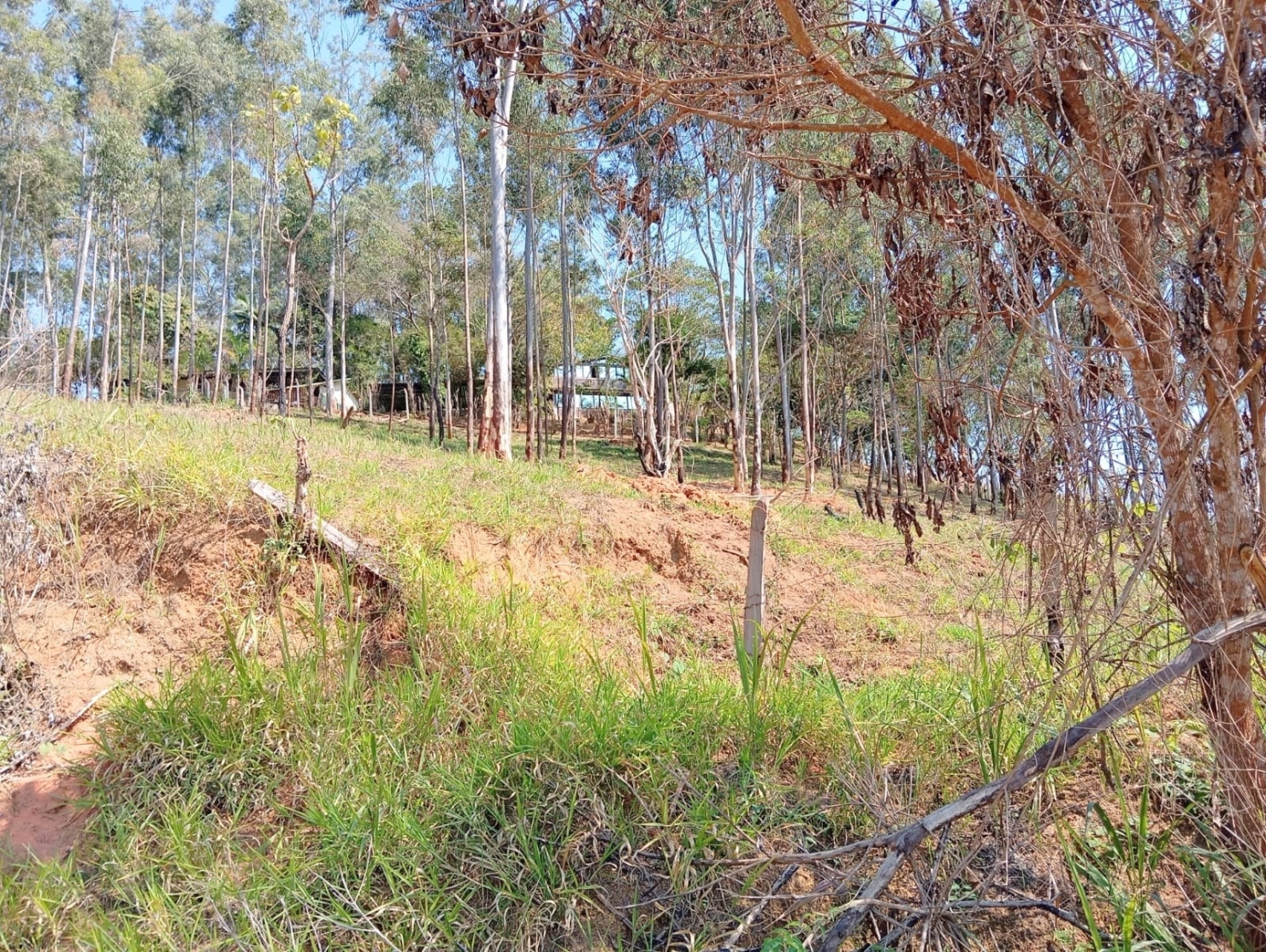 Terreno, 1632 m² - Foto 3