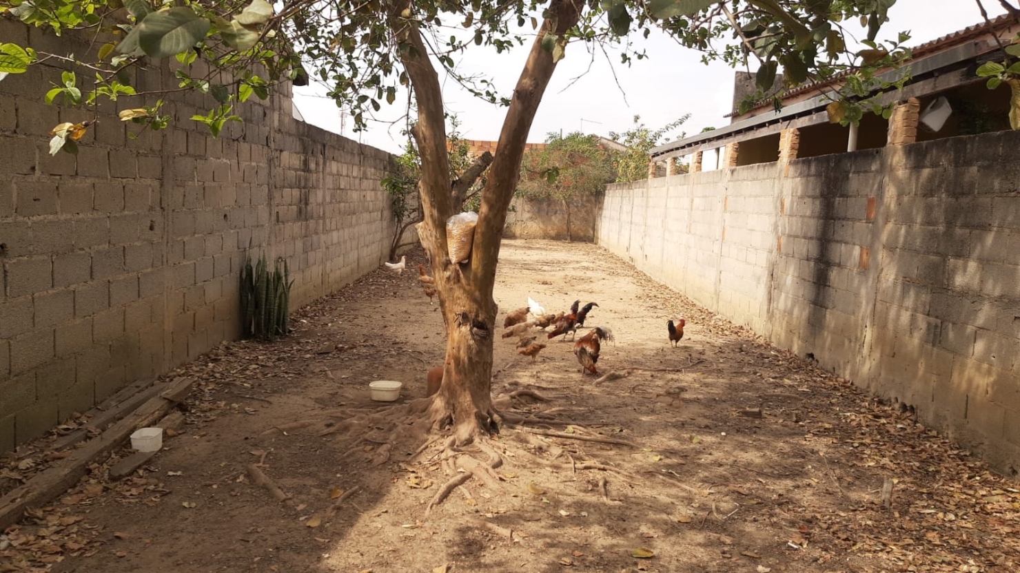 Terreno, 180 m² - Foto 1