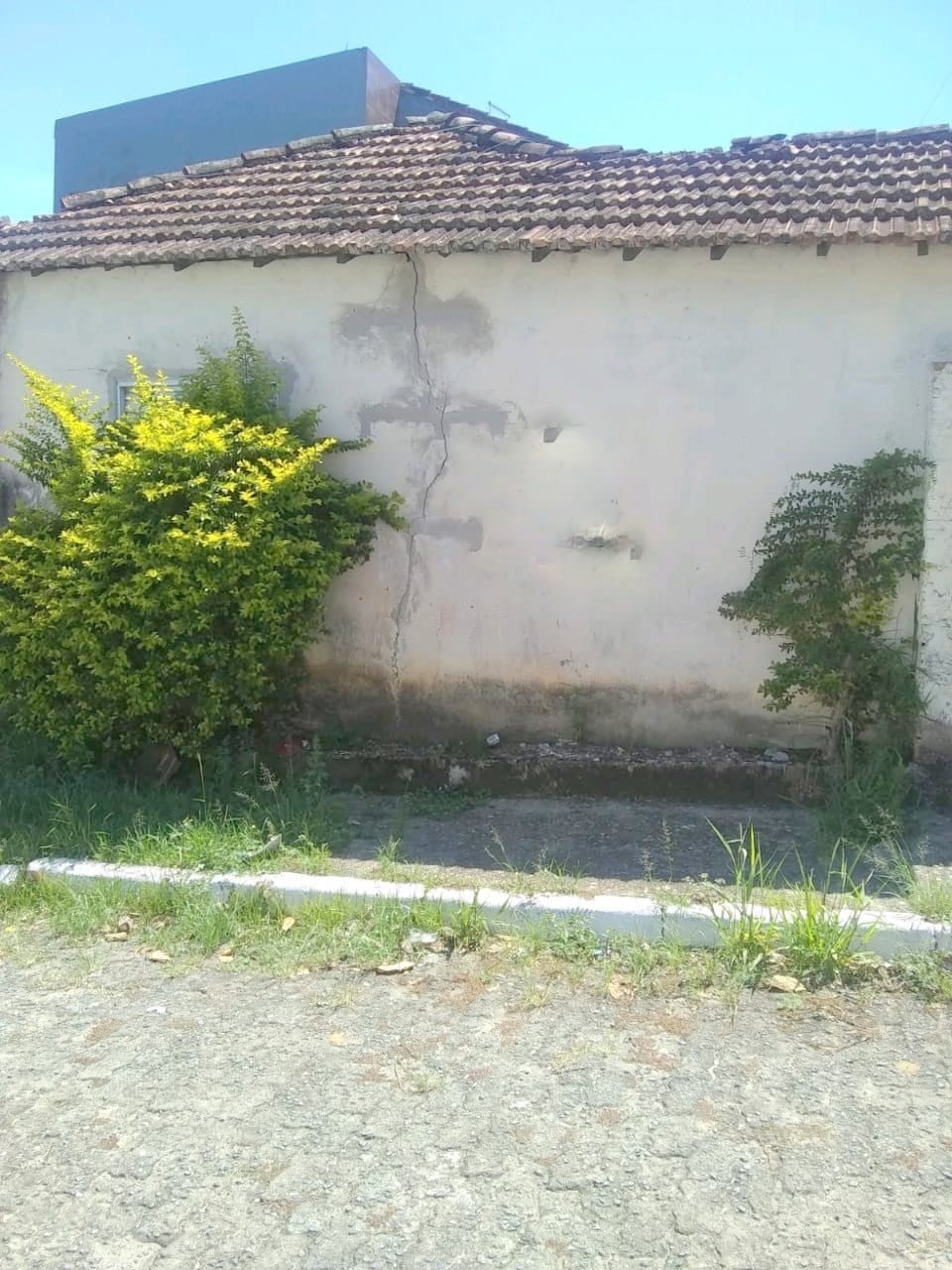 Terreno, 300 m² - Foto 3