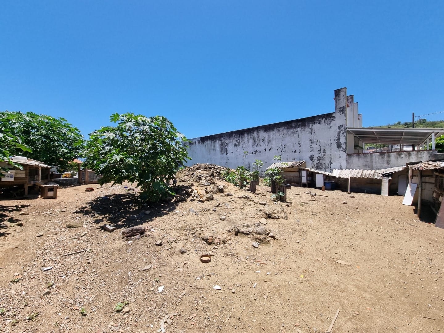 Terreno, 250 m² - Foto 6