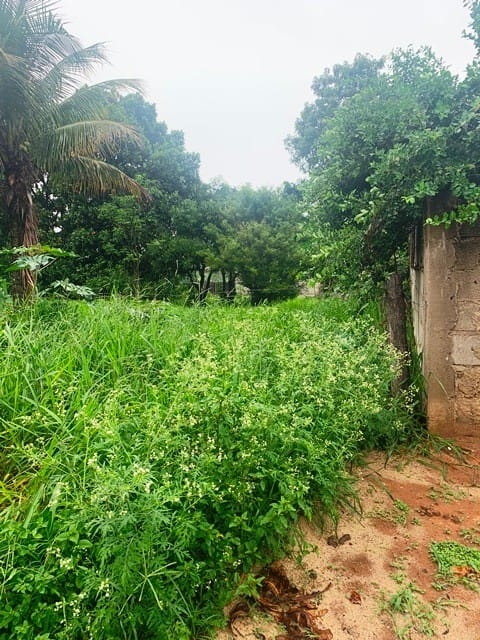 Terreno, 500 m² - Foto 1