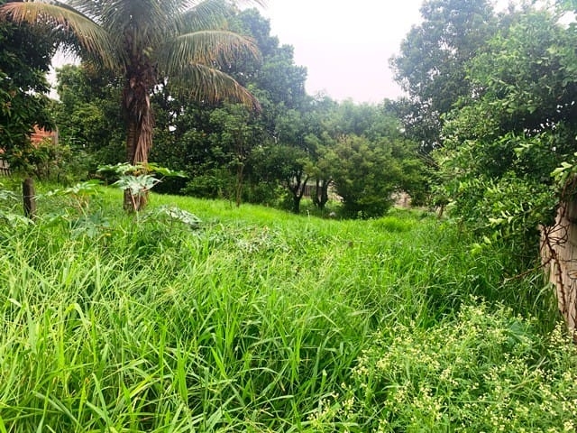 Terreno, 500 m² - Foto 3