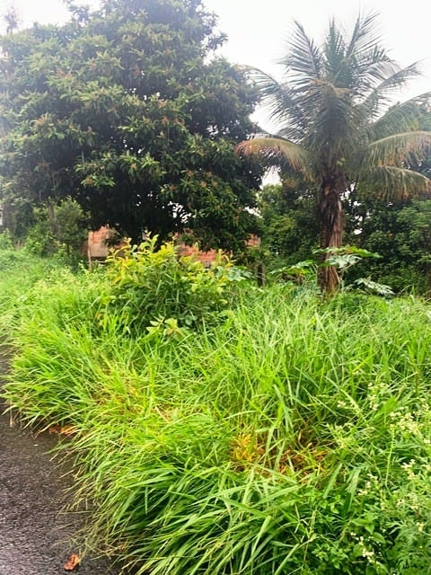 Terreno, 500 m² - Foto 5