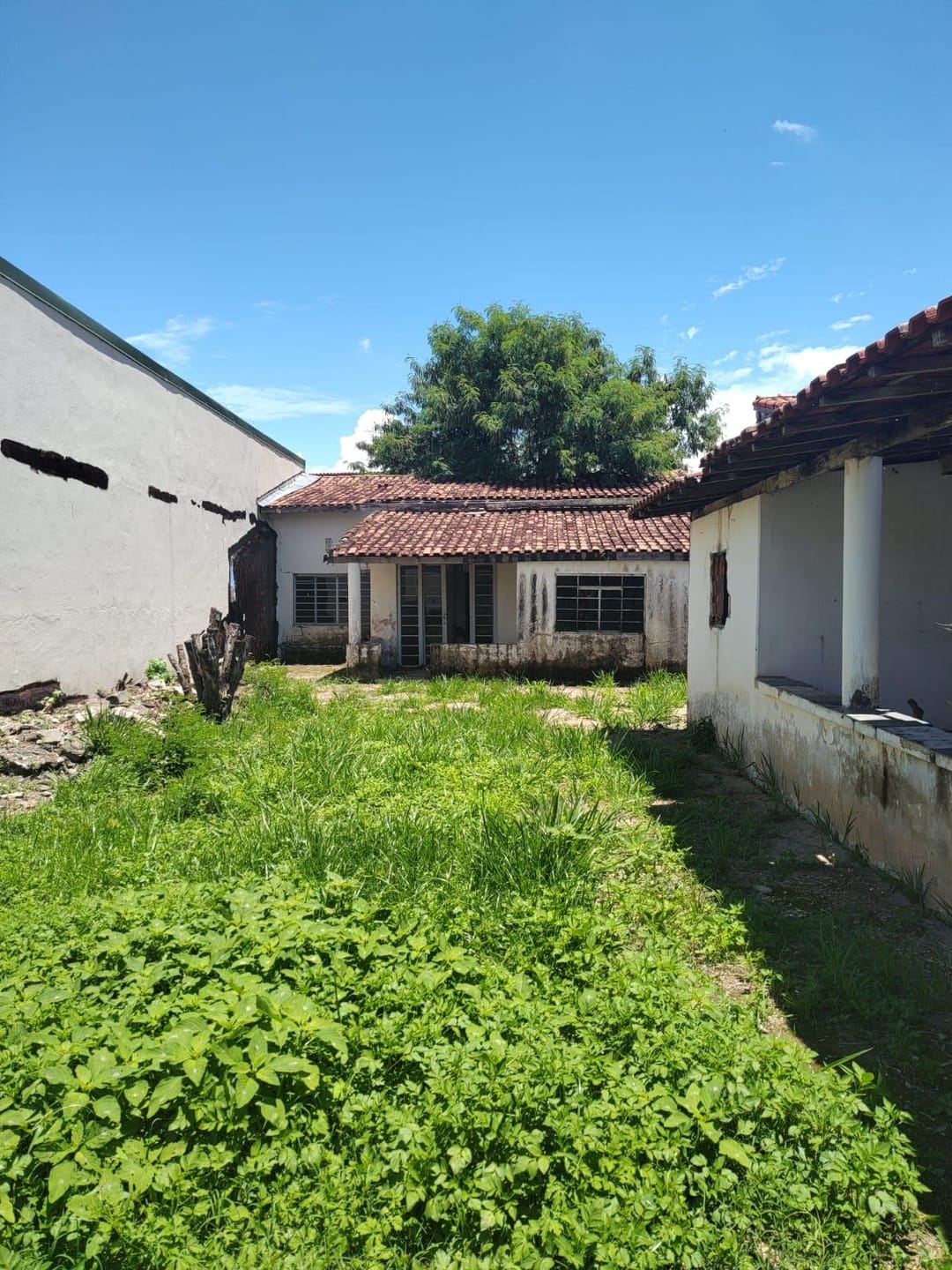 Terreno, 250 m² - Foto 1