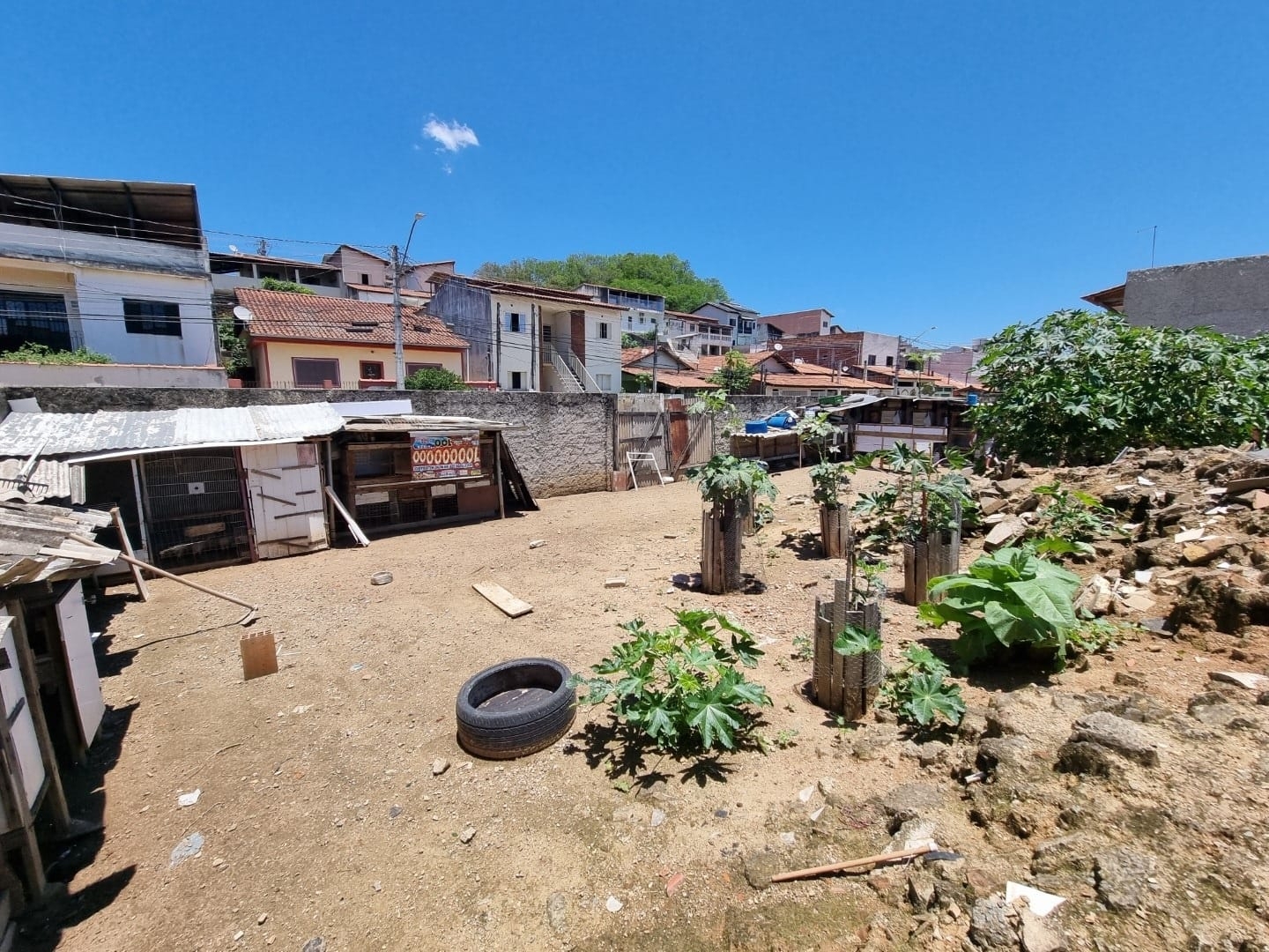 Terreno à venda, 250m² - Foto 6