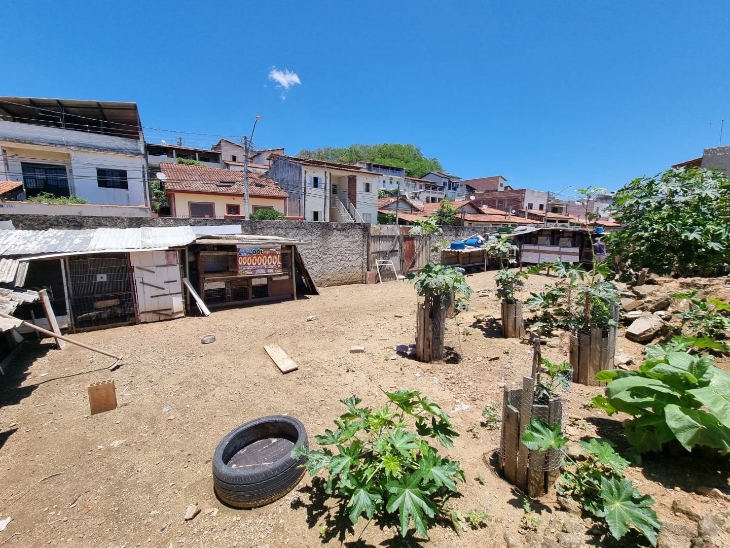 Terreno à venda, 250m² - Foto 7