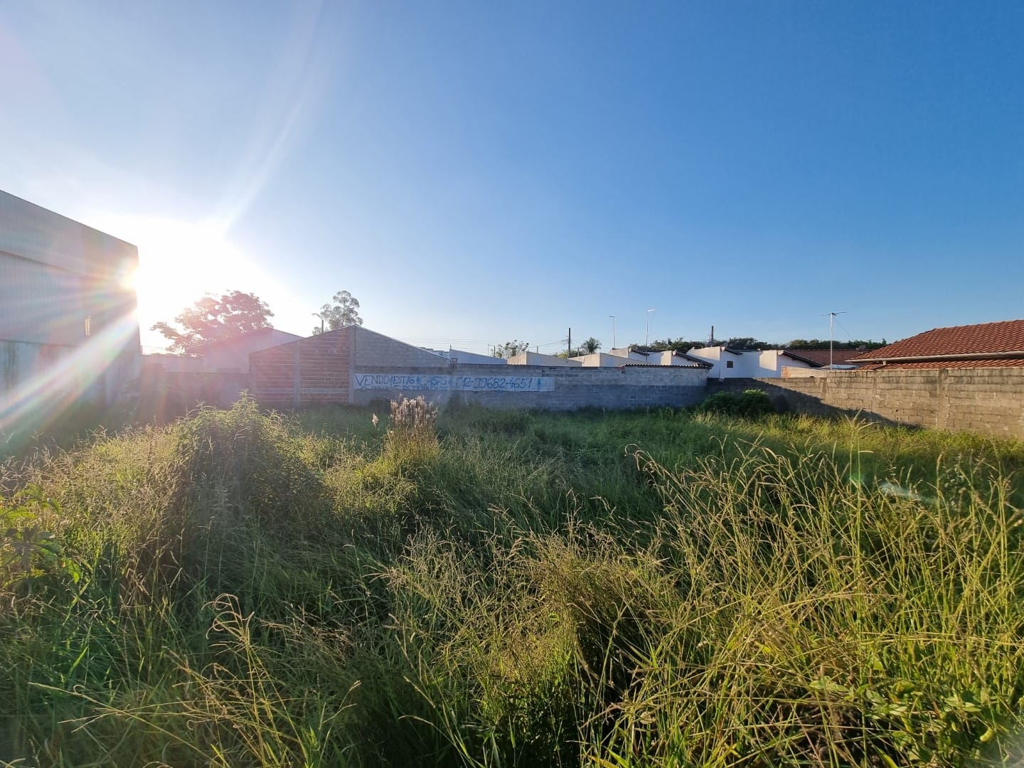 Terreno à venda, 250m² - Foto 8