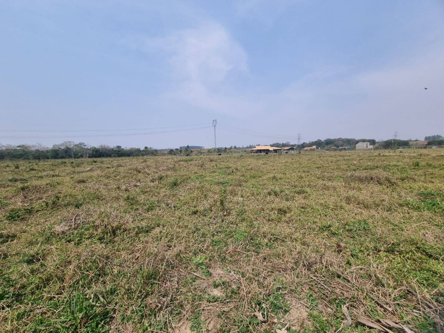 Terreno à venda, 10000m² - Foto 3