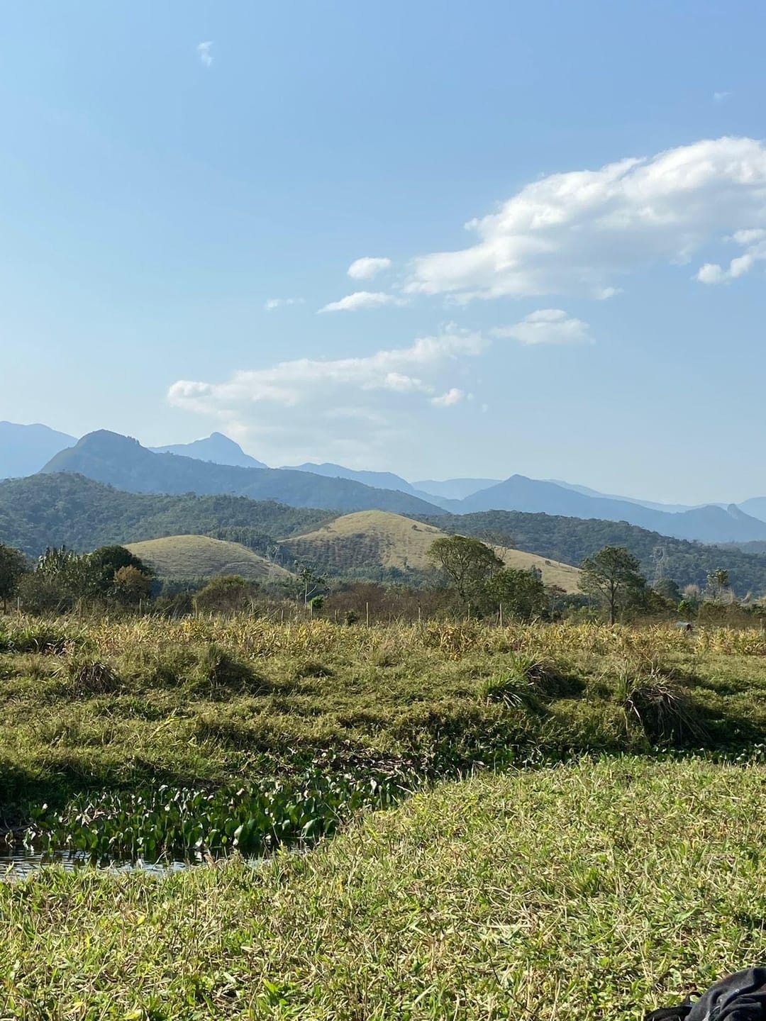 Terreno à venda, 10000m² - Foto 10