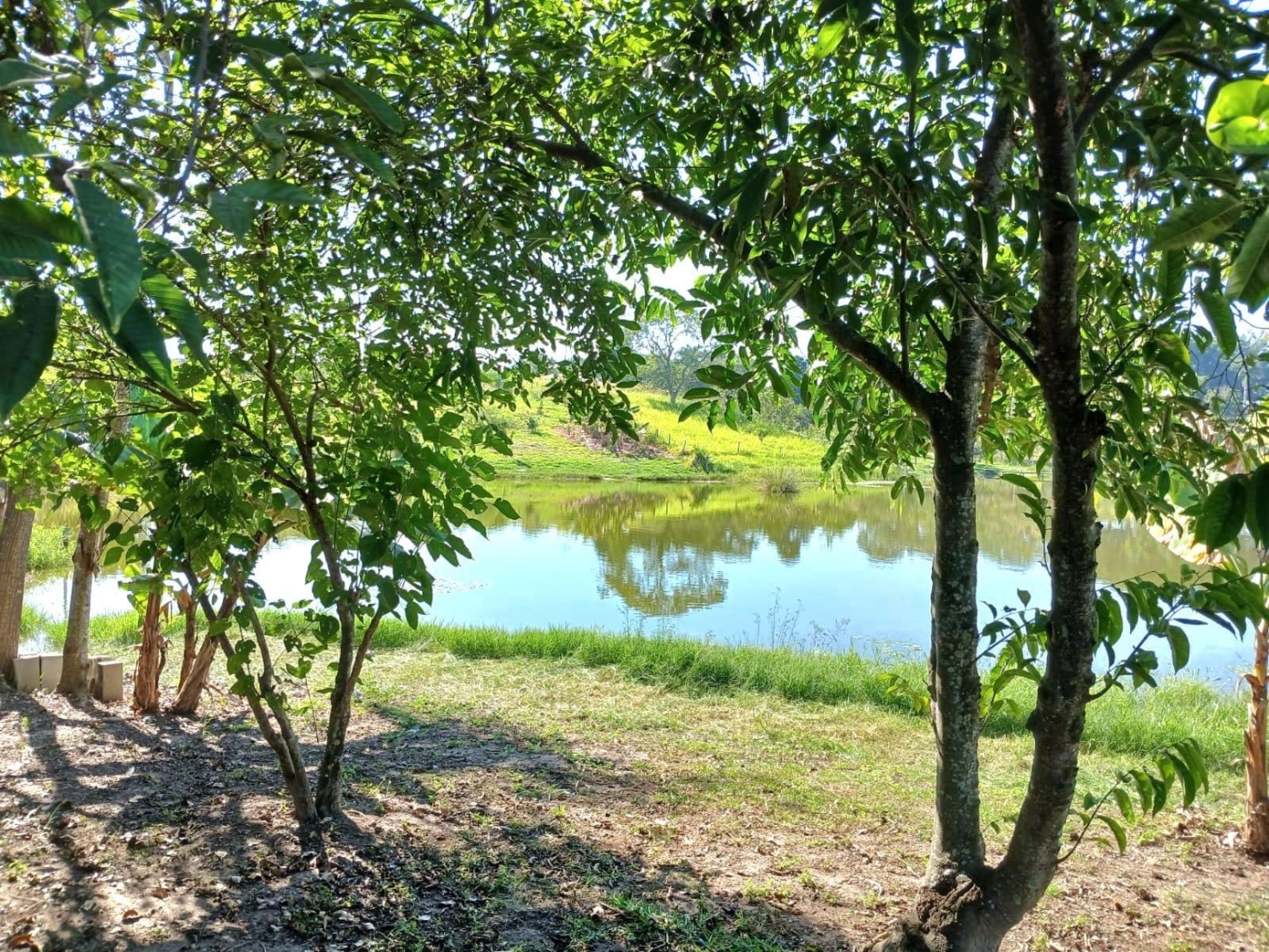 Chácara, 3 quartos, 3950 m² - Foto 3