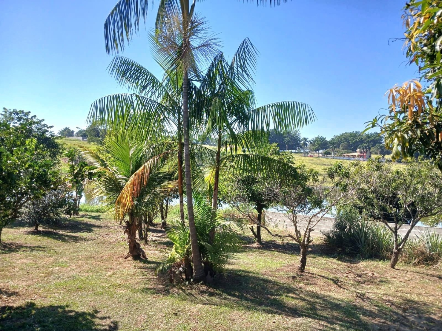 Chácara, 3 quartos, 3950 m² - Foto 4