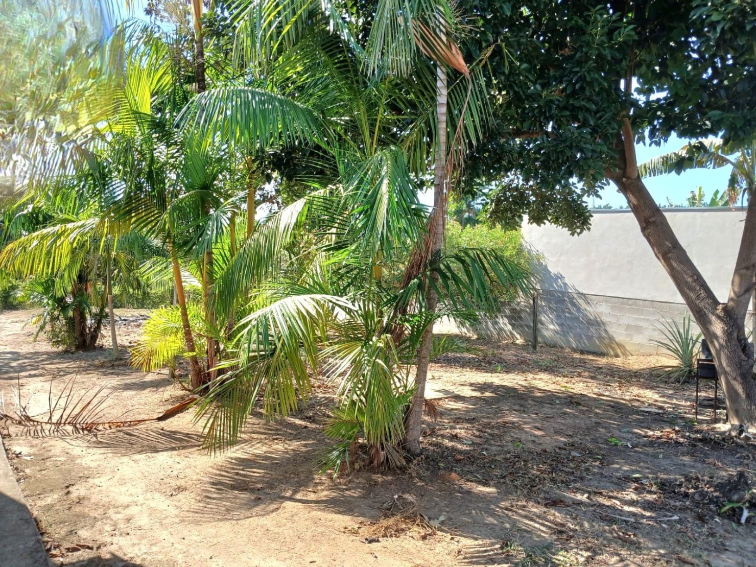 Chácara, 3 quartos, 3950 m² - Foto 6