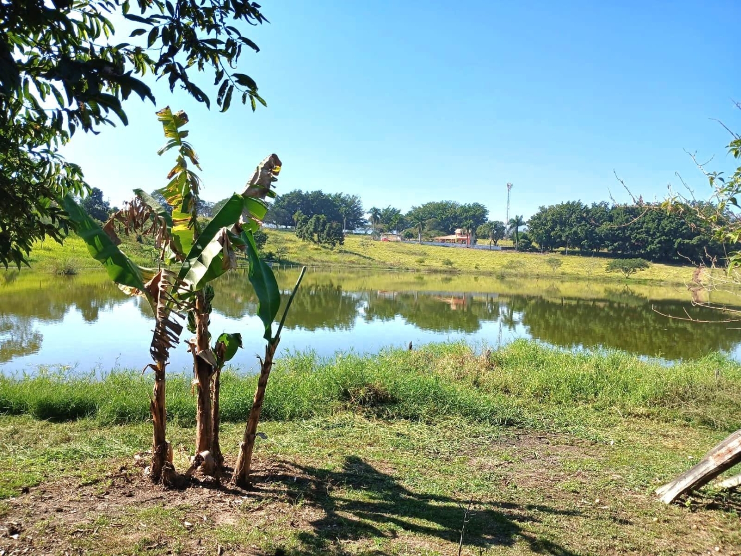 Chácara, 3 quartos, 3950 m² - Foto 7