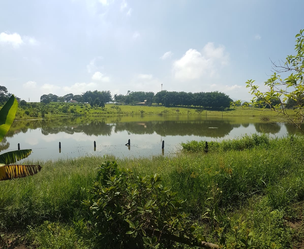 Chácara, 3 quartos, 3950 m² - Foto 1