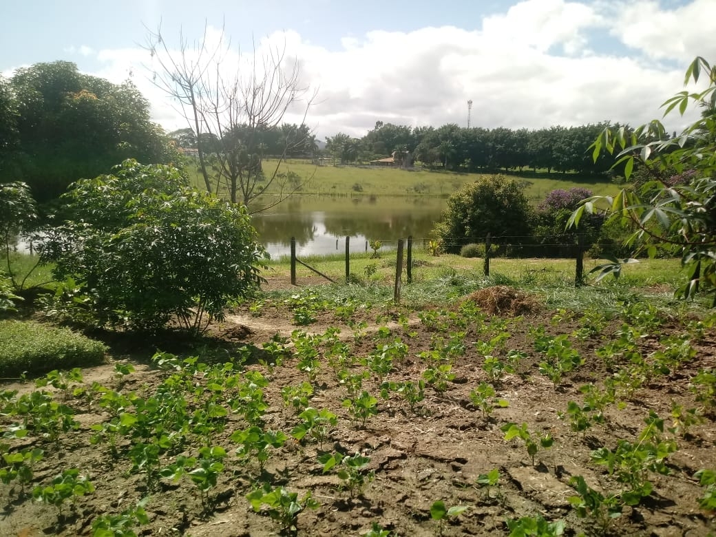 Chácara, 3 quartos, 3950 m² - Foto 12