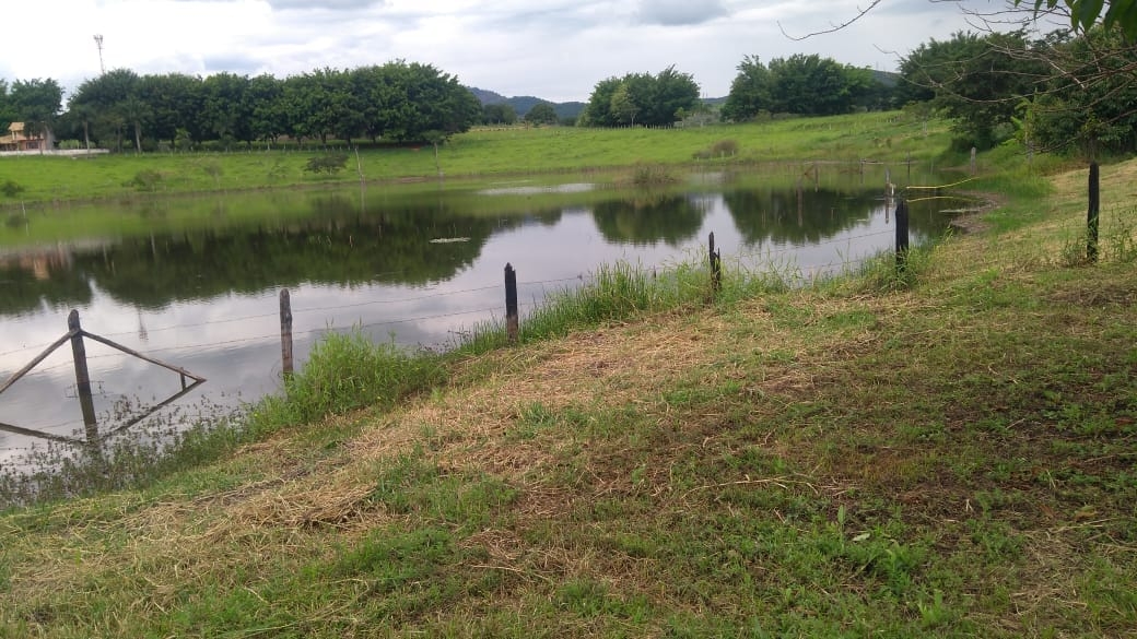 Chácara, 3 quartos, 3950 m² - Foto 13