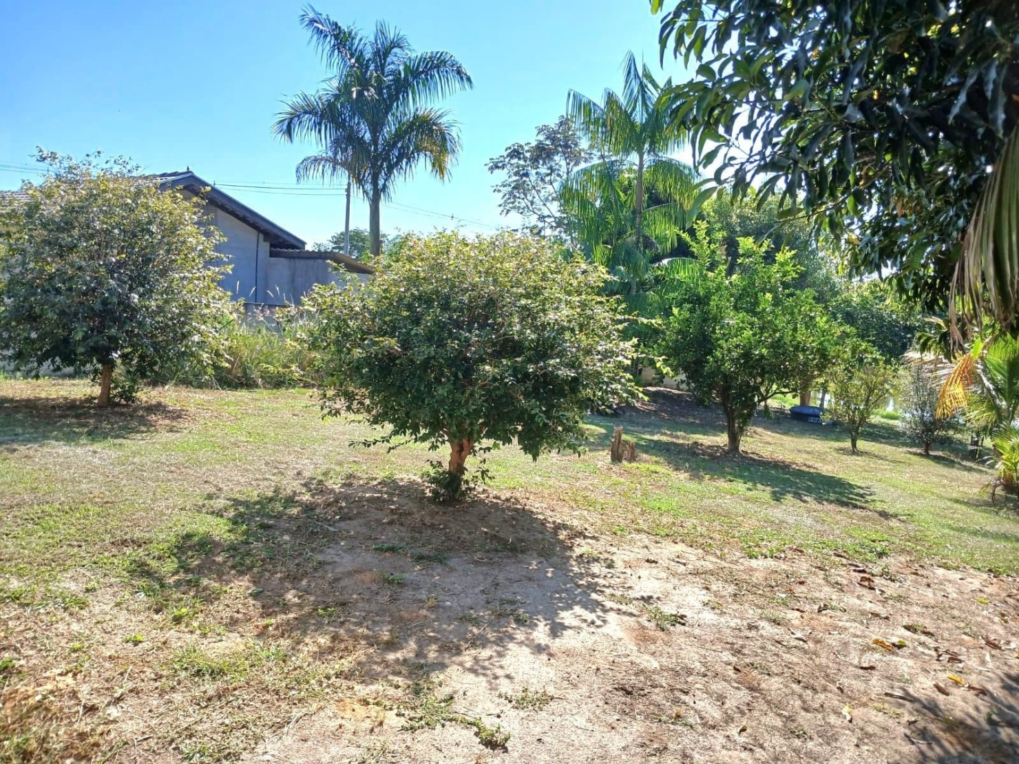 Chácara, 3 quartos, 3950 m² - Foto 16