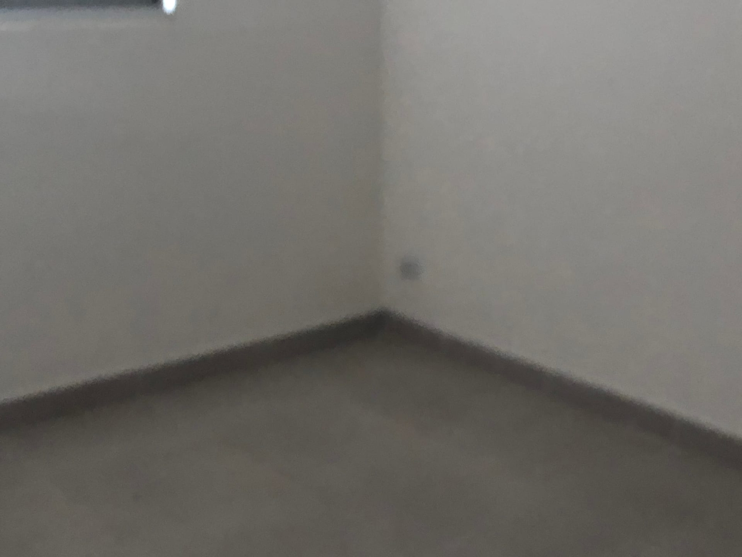 Apartamento à venda com 2 quartos, 52m² - Foto 14