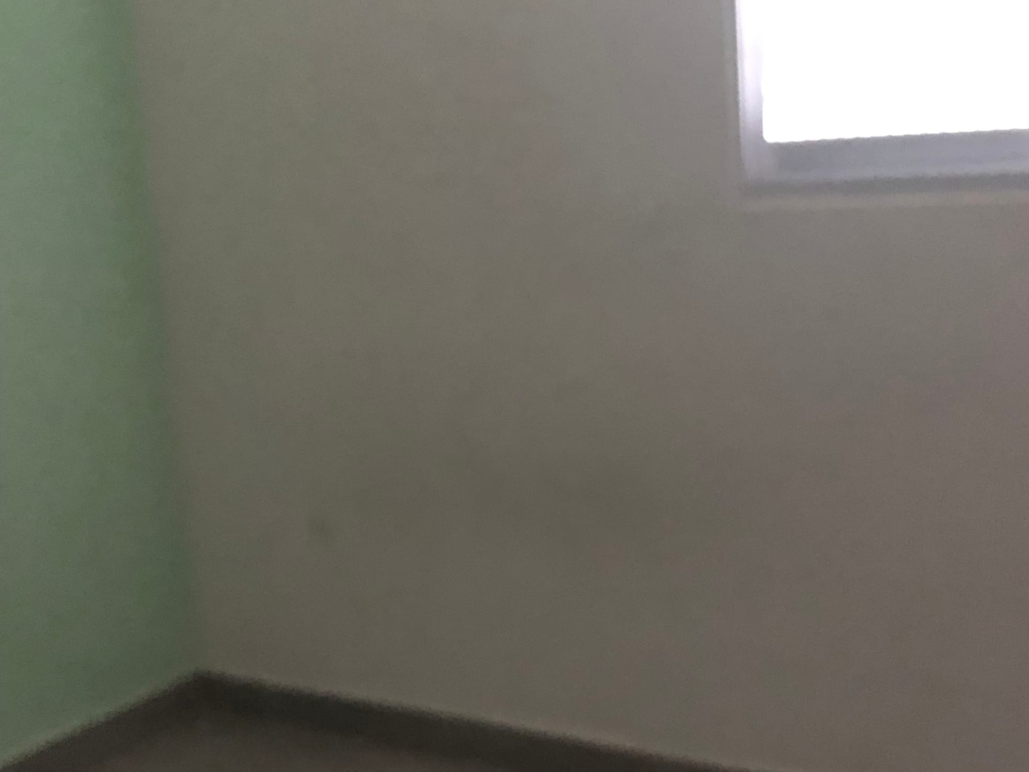 Apartamento à venda com 2 quartos, 52m² - Foto 13