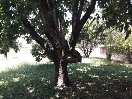 Casa à venda com 4 quartos, 360m² - Foto 24