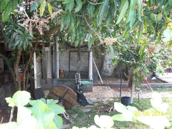 Casa à venda com 3 quartos, 231m² - Foto 20