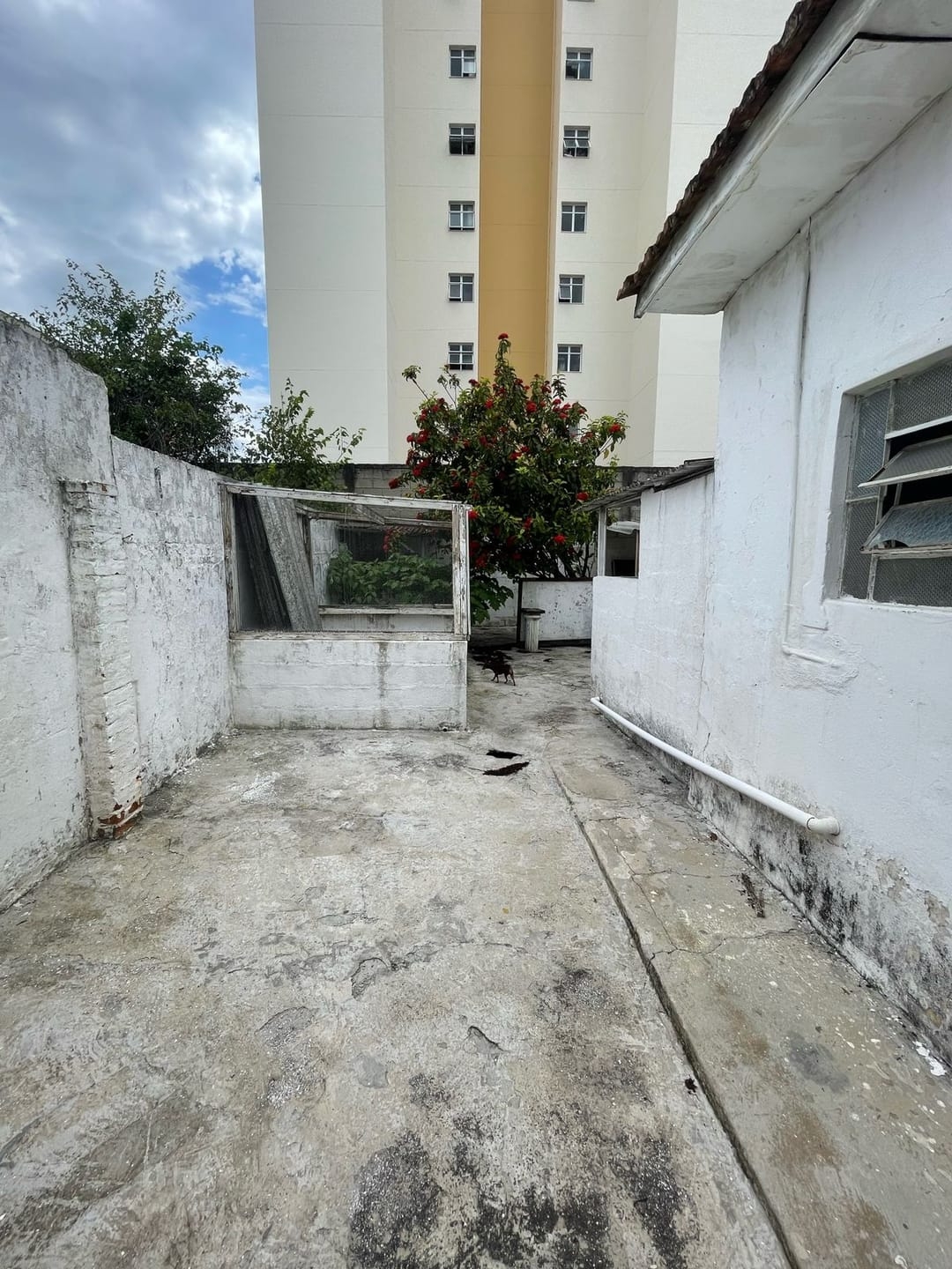 Casa, 2 quartos, 120 m² - Foto 11