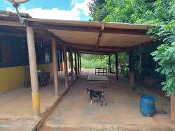 Casa para Venda em Aparecida - 2