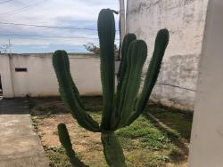 Sobrado para Venda em Pindamonhangaba - 4