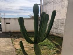 Sobrado para Venda em Pindamonhangaba - 5