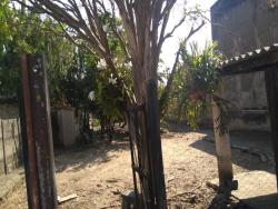#CA6884_PAL - Casa para Venda em Roseira - SP - 3