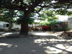 #CA7437_PAL - Casa para Venda em Potim - SP - 1