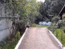 #CA8046_PAI - Casa plana para Venda em Pindamonhangaba - SP - 3