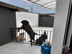 Casa plana para Venda em Pindamonhangaba - 4