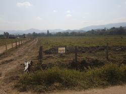 Terreno para Venda em Pindamonhangaba - 4