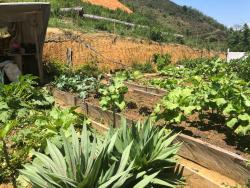Sítio para Venda em Pindamonhangaba - 5