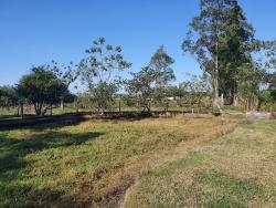 #CH0052_PAL - Sítio para Venda em Potim - SP - 3