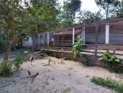 Sítio para Venda em Taubaté - 4