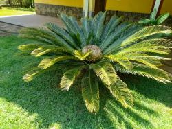Chácara para Venda em Pindamonhangaba - 4