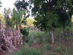 Chácara para Venda em Taubaté - 4