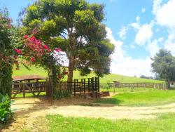 Chácara para Venda em Silveiras - 4