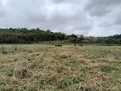 #CH0148_PAL - Sítio para Venda em São Luíz do Paraitinga - SP - 3