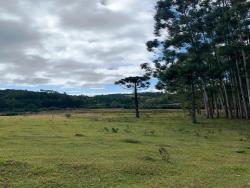 #CH0156_PAL - Chácara para Venda em Cunha - SP - 1