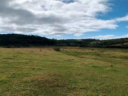 Chácara para Venda em Cunha - 4