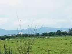 Chácara para Venda em Pindamonhangaba - 4